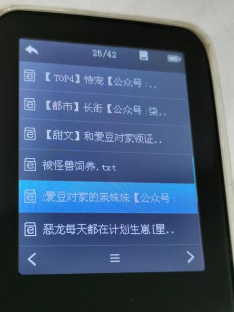 如何将小说下载到MP4播放器