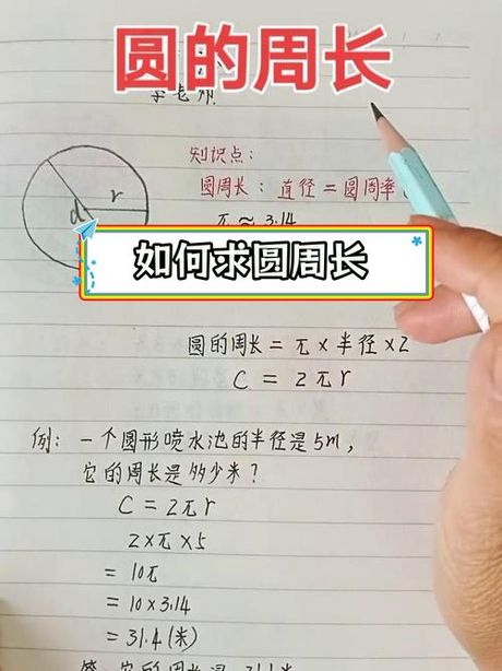 圆形的周长怎么算