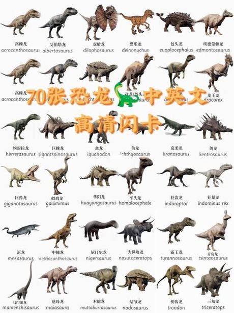 恐龙英语怎么读，恐龙的英语发音