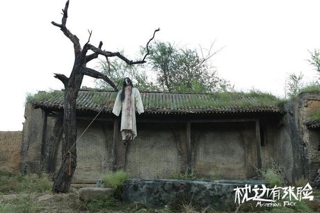 闲花野草逢春生恐怖图片，闲花野草逢春生的恐怖之谜
