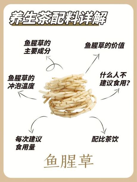 鱼腥草的食用方法