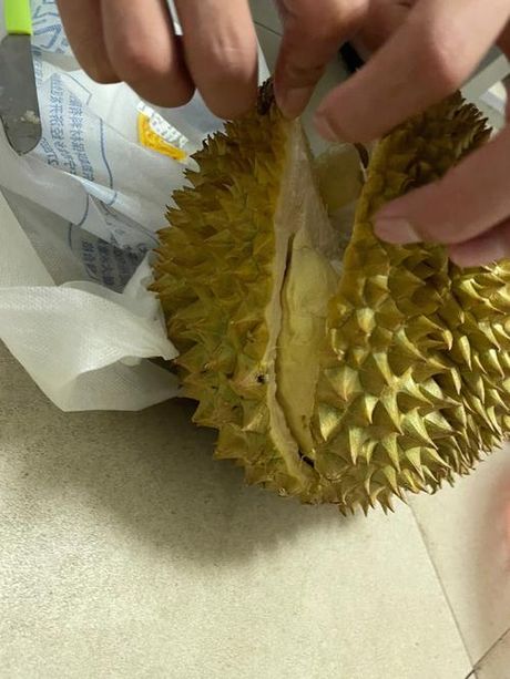 榴莲打开了肉没熟怎么办？