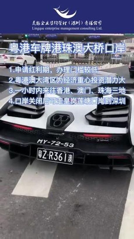 粤Z车牌：连接粤港澳门的桥梁