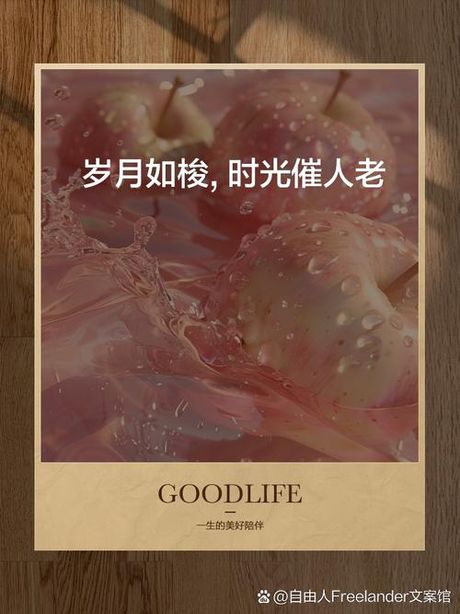 岁月如梭是什么意思
