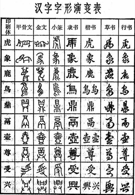 茓怎么读，关于汉字“茓”的读音和含义