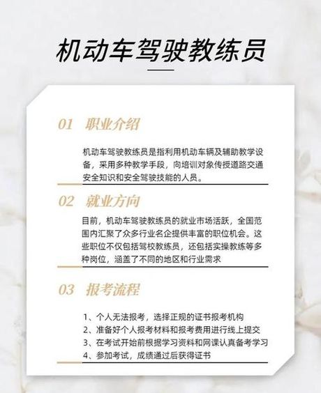 如何考取驾驶教练证：条件和流程详解