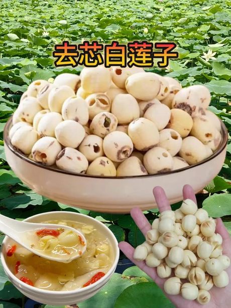 莲子去芯攻略：轻松享用美味与营养