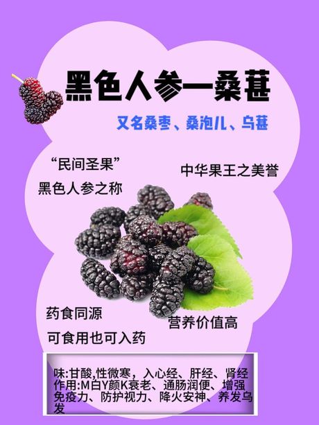桑葚怎么吃：美味与健康的完美结合