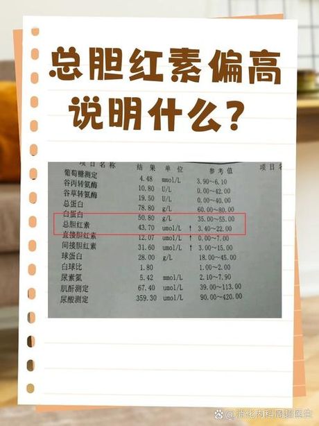 直接胆红素偏高是什么意思