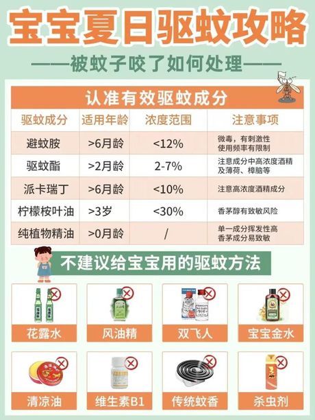 怎么杀蚊子最有效：科学方法与策略