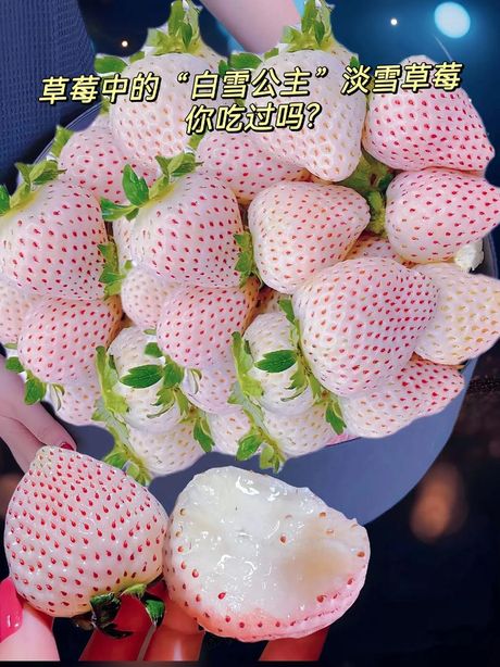 吃草莓：流行语背后的含义