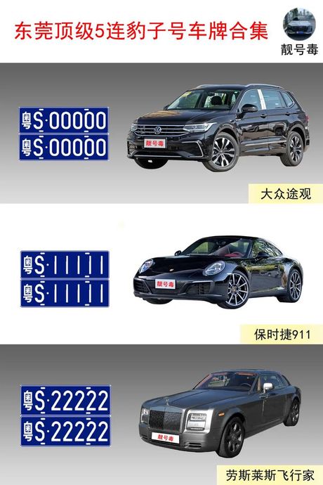 粤s车牌详解