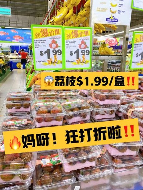 探索“菘”的正确读音