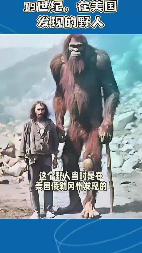 人类第一张照片,人类第一张照片的奥秘