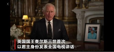 王储：未来的君主