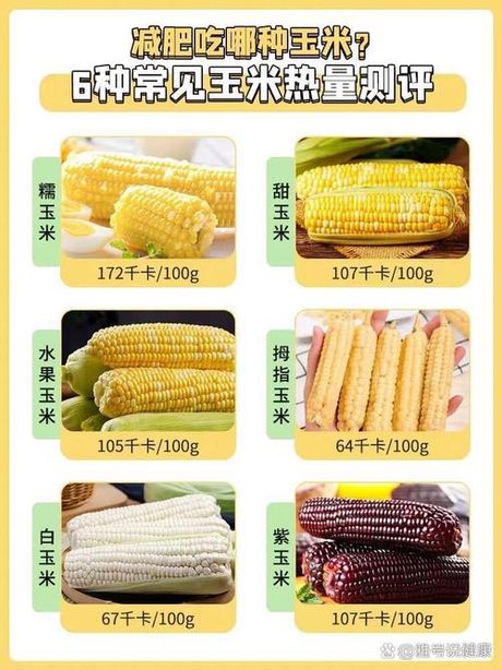 一个玉米多少克