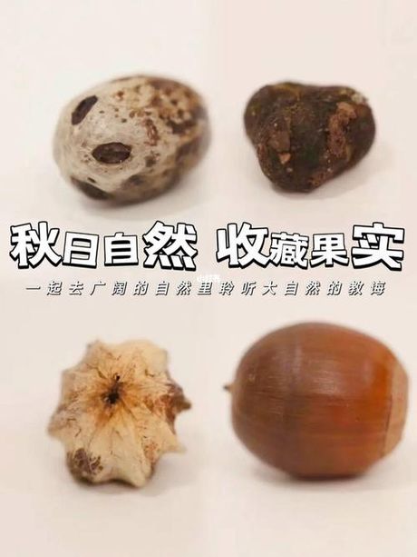 探索“缀”的多重含义