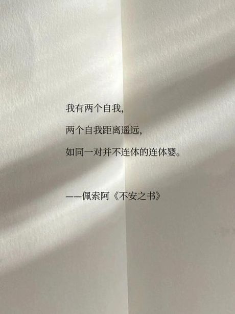忠诚：一种持久的情感纽带