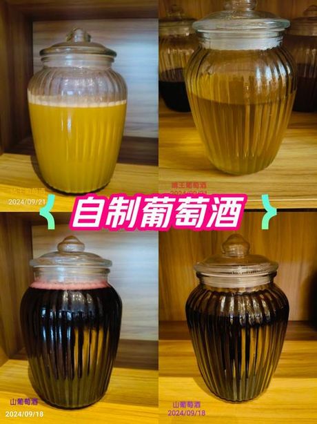 自制葡萄酒能保存多久？