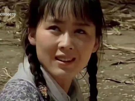 《趟过女人河的男人》：一部深情描绘中国农村变革的电视剧