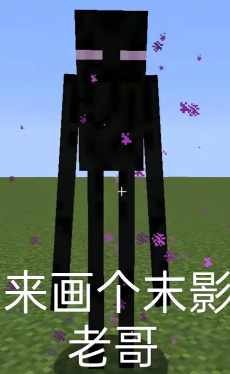 末影人怎么驯服