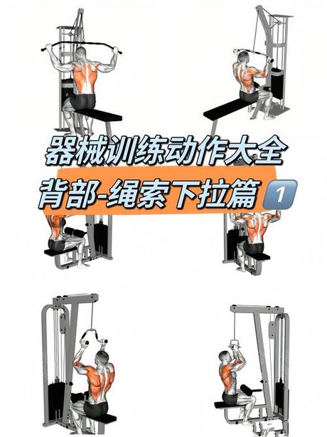 健身器材使用方法，健身器材使用方法百科