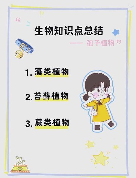 孢怎么读，关于“孢”的科普小知识