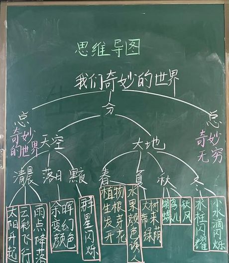 思维导图模板，探索思维导图模板的世界