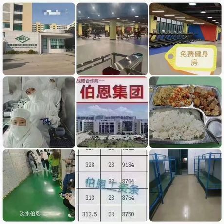 深圳伯恩厂工资概况