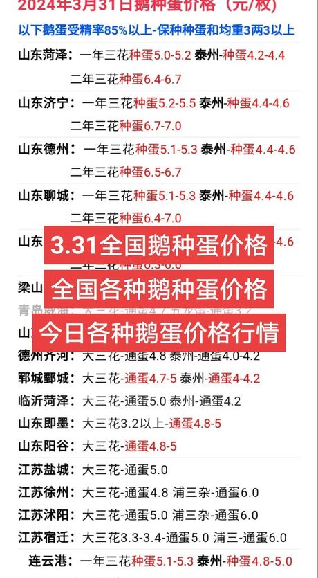 鹅蛋价格揭秘：影响鹅蛋多少钱一斤的因素