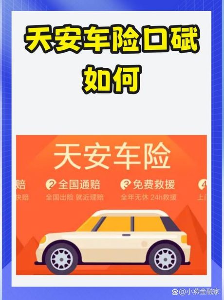 天安保险公司简介