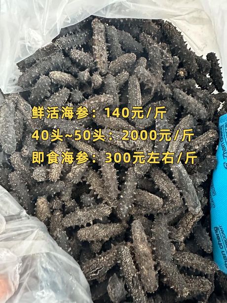 辽参多少钱一斤？揭开珍贵海味的价值之谜