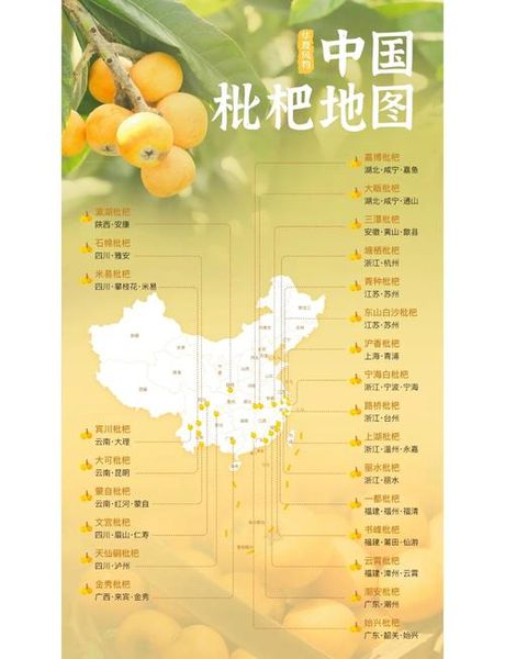 枇杷种植全解析：从选地到收获