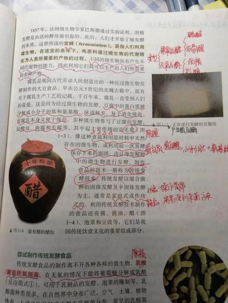 糟粕：传统发酵技术的精髓