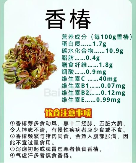 香椿芽：春季的美味与营养