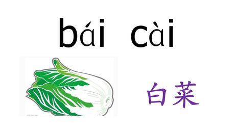 白菜的拼音怎么读视频，白菜的拼音怎么读？