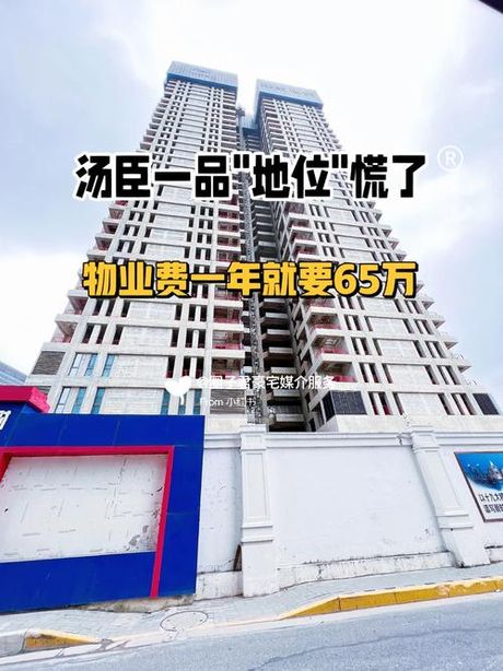 汤臣一品物业费揭秘