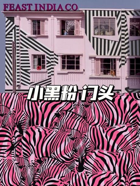 黑粉：网络文化中的一朵“奇葩”