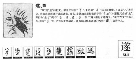 遂是什么意思，遂字释义