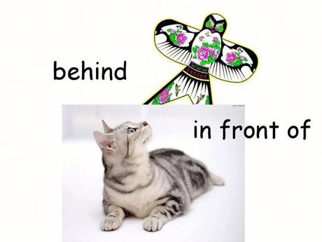 behind怎么读音，behind的读音