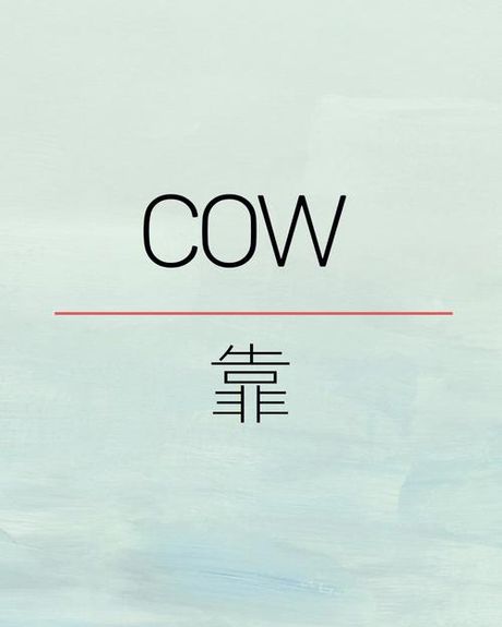 牛的英语怎么读：探索“Cow”的发音奥秘