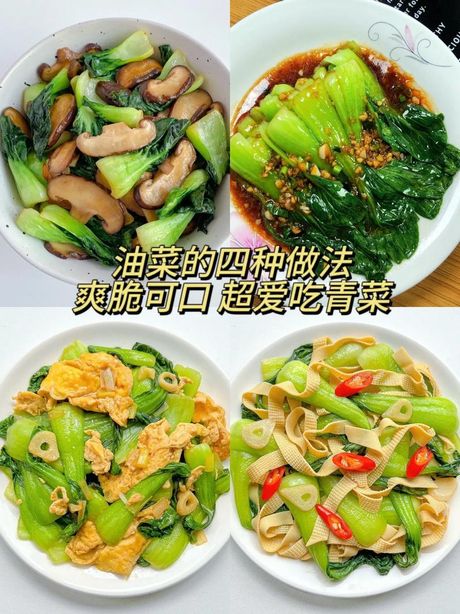 油菜怎么做好吃