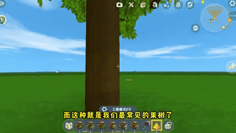 迷你世界树苗怎么种，迷你世界树苗种植百科指南