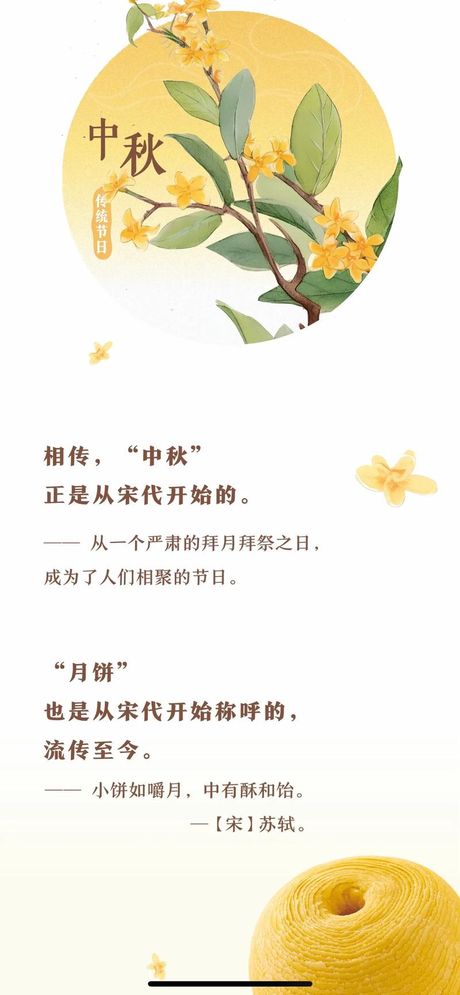 “但愿人长久，千里共婵娟”中的“婵娟”是什么意思