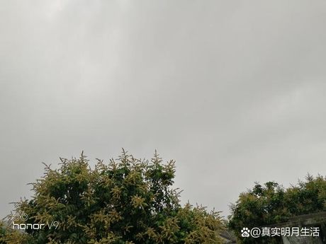 风吹雨打：自然界的节奏与力量