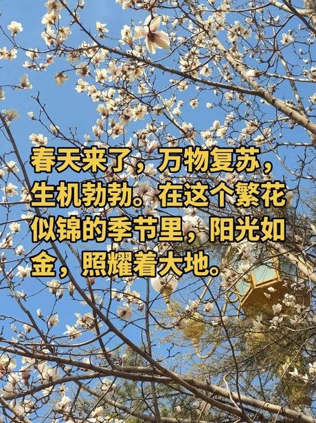 万物复苏：春天的生物学奇迹