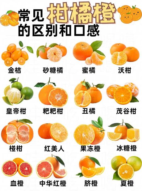 橙子的多种食用方式