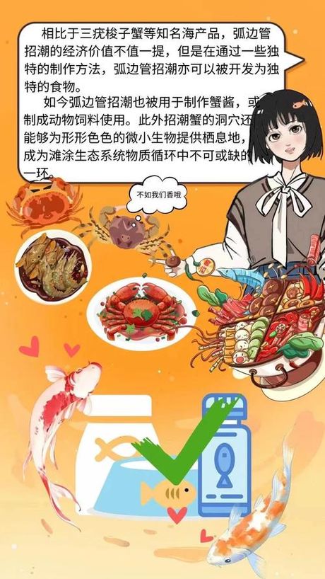 谁是我的菜：探索海洋生物与美食综艺的结合