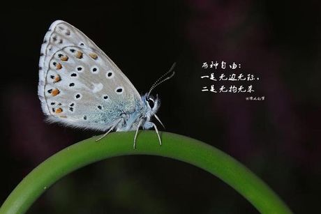 侥幸：意外中的幸运