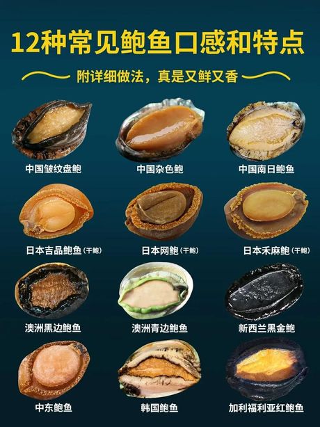 鲍鱼的食用指南